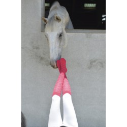 Chaussettes EQUITHÈME Résille