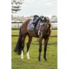 Tapis de selle de dressage BACK ON TRACK® "Night Collection"