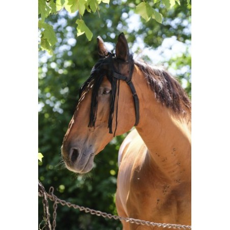 Bonnet mesh EQUITHÈME avec chasse-mouches