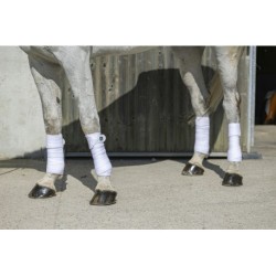 Bandes de polo RIDING WORLD "Eco"