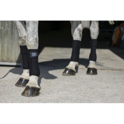 Bandes de polo RIDING WORLD "Eco"