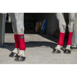 Bandes de polo RIDING WORLD "Eco"