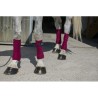 Bandes de polo RIDING WORLD "Eco"