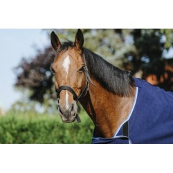 Chemise de présentation RIDING WORLD