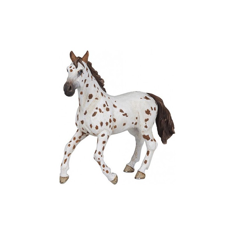 Jument Appaloosa PAPO