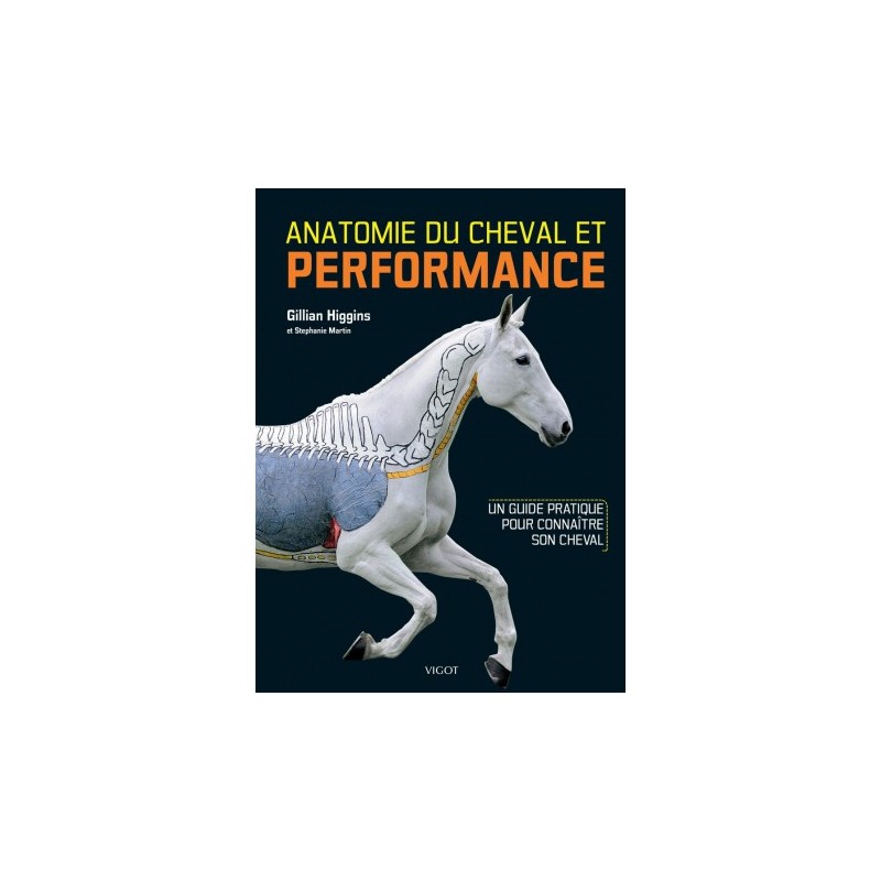 Anatomie du cheval & Performance