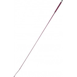 Cravache de dressage WHIP & GO "Points”