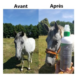 EK1N Spray d’Eté Répulsif Insectes Waterproof