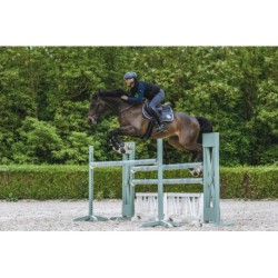 Gilet chauffant EQUITHÈME - Charlie