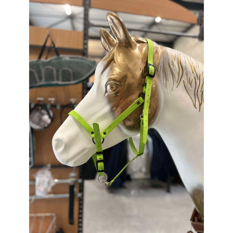 LICOL BIOTAN VERT FULL