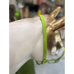 LICOL BIOTAN VERT FULL