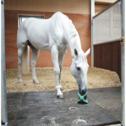 BIZZY HORSE "Bizzy Ball"