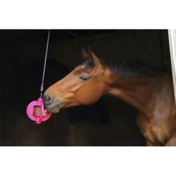 BIZZY HORSE "Bizzy Ball"