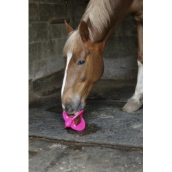 BIZZY HORSE "Bizzy Ball"