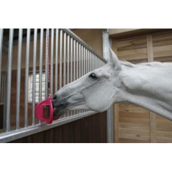 BIZZY HORSE "Bizzy Ball"