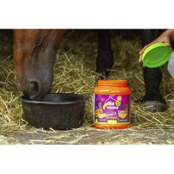 Friandises naturelles EQUINATURA