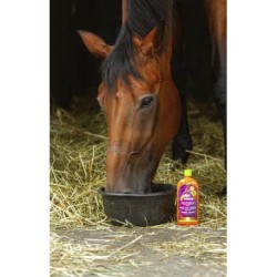Sirop aux herbes EQUINATURA