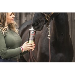 Aliment complémentaire LEOVET "Elixir Bronches" sirop