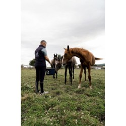 Aliment complémentaire REKOR "Multimax" granulés