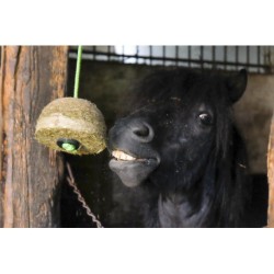 Bloc de foin HIPPOTONIC nature