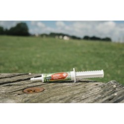 Nutrimax Booster RAVENE