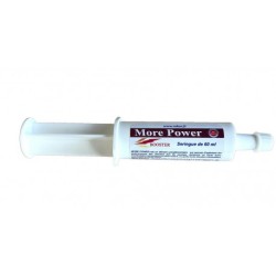 Solution énergisante REKOR "More Power"