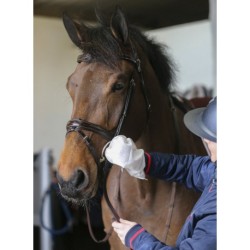 Gants de nettoyage Belvoir® CARR & DAY & MARTIN