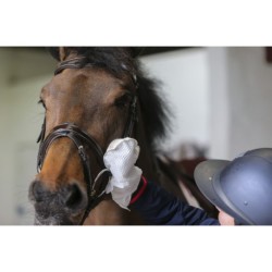 Gants de nettoyage Belvoir® CARR & DAY & MARTIN