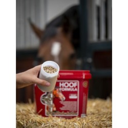 Aliment complémentaire complet KEVIN BACON'S - Hoof Formula