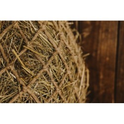 Filet à foin HIPPOTONIC - Naturel