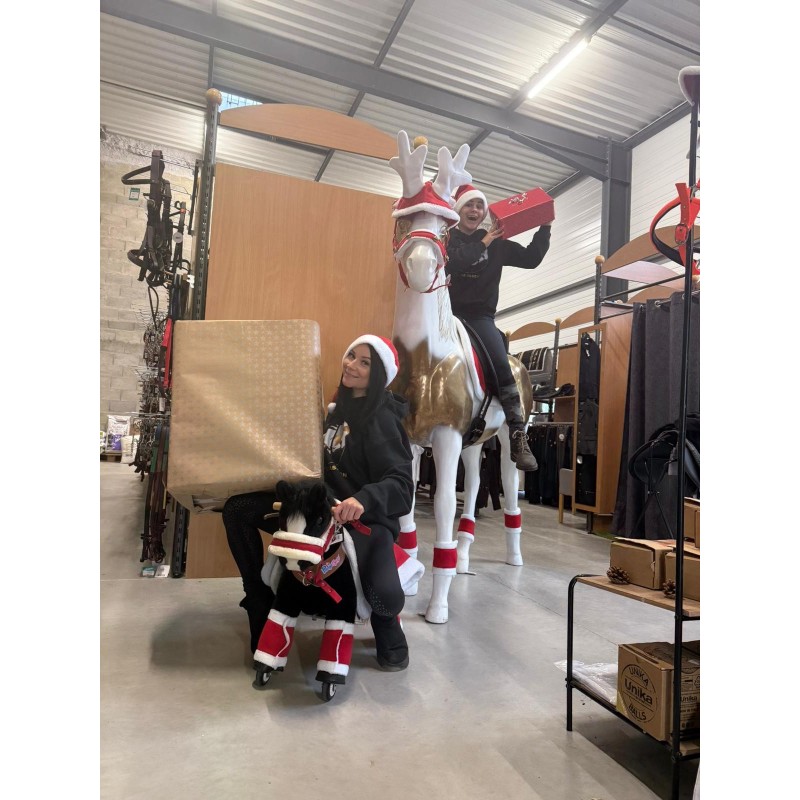 Cadeau Mystère de Noël