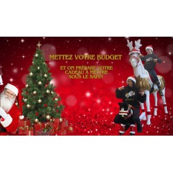 Cadeau Mystère de Noël