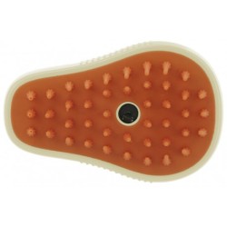 Etrille HIPPOTONIC - Vapeur