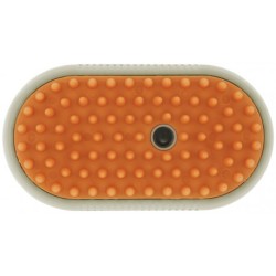 Etrille avec manche HIPPOTONIC - Vapeur