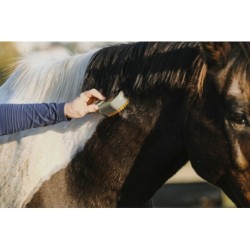 Etrille avec manche HIPPOTONIC - Vapeur