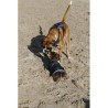 Harnais pour chien RIDING WORLD - Simba