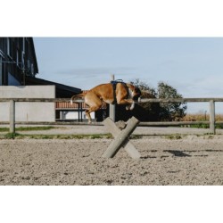 Harnais pour chien RIDING WORLD - Simba