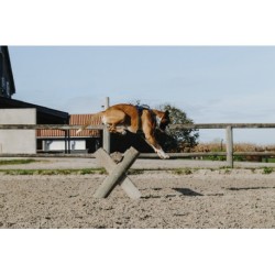 Harnais pour chien RIDING WORLD - Simba