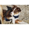 Harnais pour chien RIDING WORLD - Simba