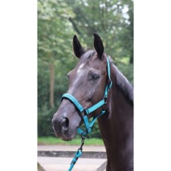 Longe d'attache LAMI-CELL - Charming