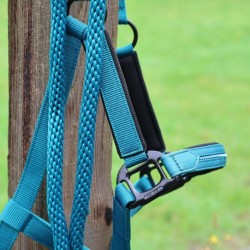 Longe d'attache LAMI-CELL - Charming