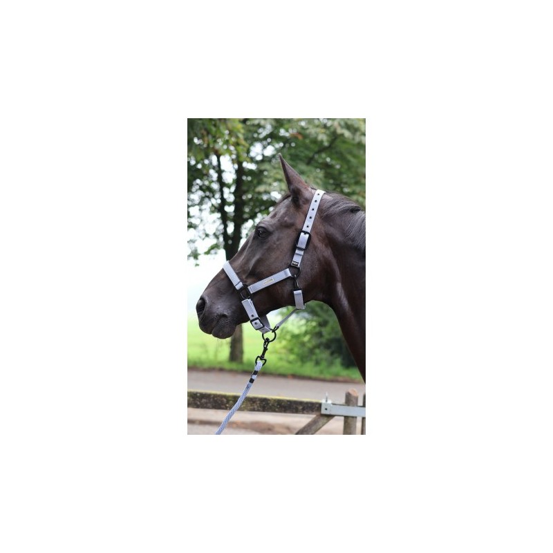 Longe d'attache LAMI-CELL - Midnight