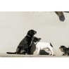 Collier et laisse pour chien EQUITHÈME - Max