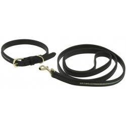 Collier et laisse pour chien EQUITHÈME - Max
