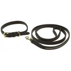Collier et laisse pour chien EQUITHÈME - Max