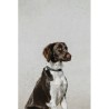 Collier pour chien EQUITHÈME - Nala