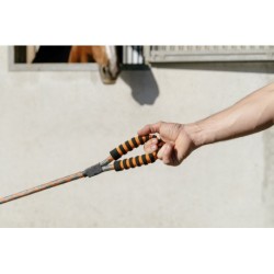 Laisse pour chien avec poignée EQUITHÈME - Haspen