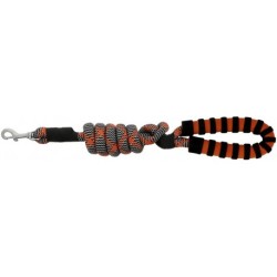 Laisse pour chien avec poignée EQUITHÈME - Haspen