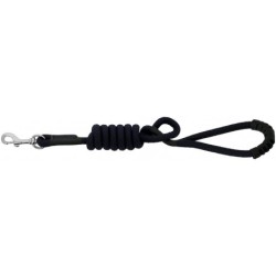 Laisse pour chien avec poignée RIDING WORLD - Lucky