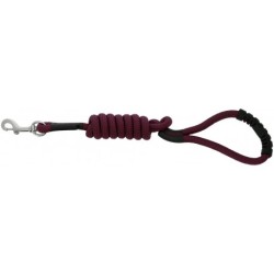 Laisse pour chien avec poignée RIDING WORLD - Lucky